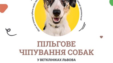 Фото: У Львові триває акція пільгового чіпування тварин: прочіповано вже 145 собак