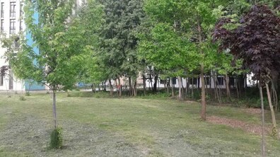 Фото: Сесія затвердила межі парку Архангела Михаїла, що на вул. Стрийській