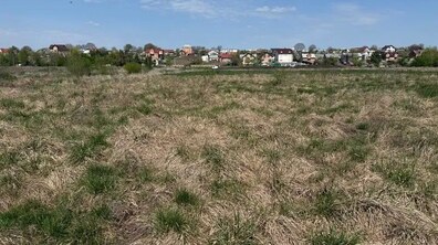 Фото: У червні на земельних аукціонах у Львівській громаді продаватимуть 14 ділянок