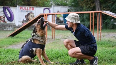 Ветеран, який втратив одну руку під час російсько-української війни, гладить собаку, породи вівчарка