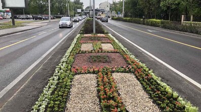 Фото: На роздільній смузі на пр. Чорновола висаджено 6 тис саджанців квітів