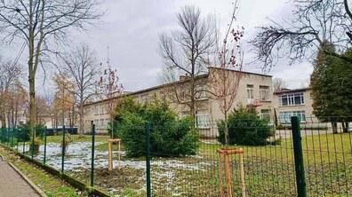 висаджені вздовж паркану саджанці на території дитячого садка у Львові