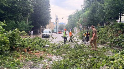 На вул Коперника на дорозі комунальники прибирають повалене дерево, що впало на мережі. Збоку стоять автівки, чоловік тримає велосипед