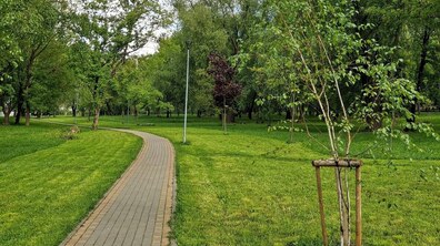 Невелика брукована доріжка в парку Львова. Довкола неї зелена трава та дерева. Збоку молоді саджанці з дерев’яними опорами. Далі дорослі дерева