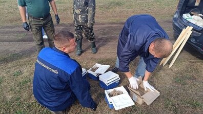 Фото: У Львівській громаді проведуть профілактику сказу для диких тварин