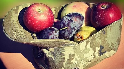 Фото: Військові капелани запрошують допомогти зібрати фруктовий кошик для захисників