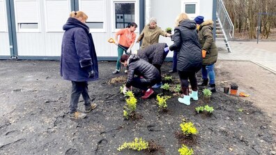 Фото: Мешканки модульного містечка у Львові висадили кущі та вже планують грядки