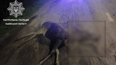 фото Патрульної поліції у Львівській області