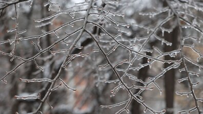фото ілюстративне, автор: Роман Балук