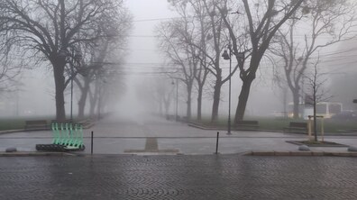 туман