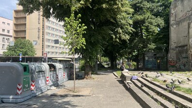 Фото: Боротьба із гризунами: на проспекті Чорновола, 2 проведуть дератизацію