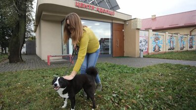 Фото: «Ми готові робити філії в інших містах, де влада розуміє важливість правильного поводження з тваринами», — А. Садовий про діяльність ЛКП «Лев»