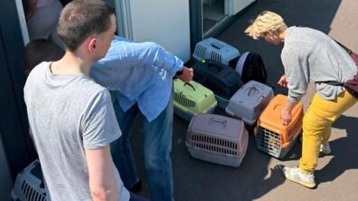 На фото люди переносять домашніх котів у спеціальних переносках до модульного містечка. Біля входу до житлового модуля на асфальті стоять кілька переносок різних кольорів, а двоє людей обережно розміщують їх поруч.
