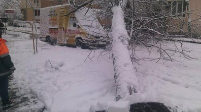 фото: Петро Віблий