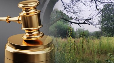 Фото: Місто продасть з аукціону 5 ділянок на вул. Роксоляни