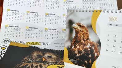 Фото: Всіх охочих запрошують придбати брендовані календарі, аби допомогти Домівці врятованих тварин