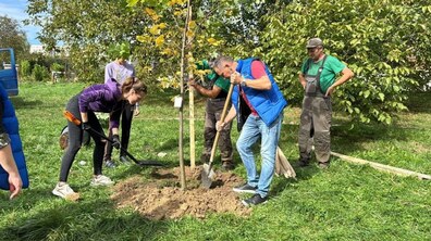 Фото: 326 дерев та кущів висадять у межах осінньої акції «Подаруй місту дерево»