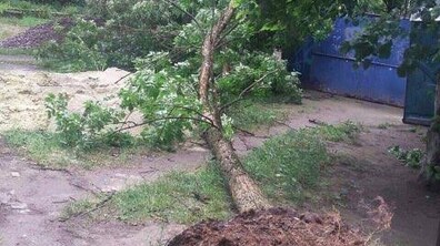 Фото: Місто ліквідовує наслідки буревію, що трапився у п’ятницю