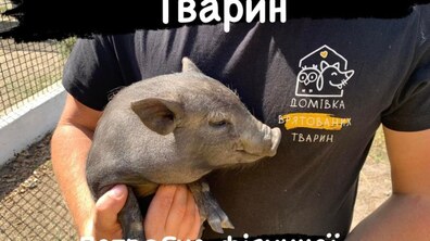 Фото: Небайдужих запрошують долучитися до толоки у Домівці врятованих тварин
