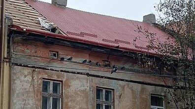 Фото: У будинку на вул. Стороженка, 4, який постраждав від обстрілу, триває ремонт даху