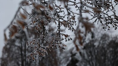 фото ілюстративне, автор - Роман Балук