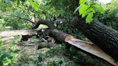 фото: Роман Балук