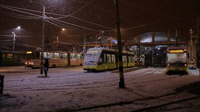 фото: Ольга Яновська