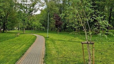 Брукована доріжка в парку Львова. Довкола неї зелена трава та дерева. Збоку молоді саджанці з дерев’яними опорами. Далі дорослі дерева
