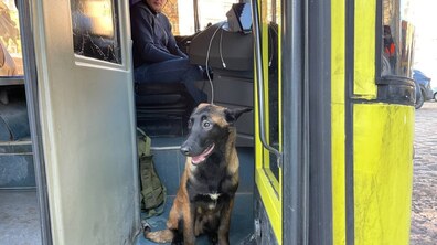 водій Петро Крохмальний та собака у кабіні автобуса
