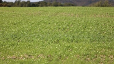 фото Романа Балука для Львівської міської ради