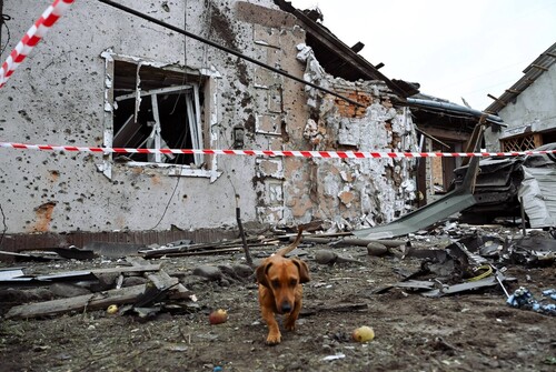 У Малехові внаслідок падіння ворожого безпілотника пошкоджено 8 будинків: місто допомагає мешканцям (відео)