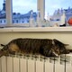 Завтра у житлових будинках Львова буде тепло: розпочинають опалювальний сезон