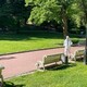 У Львові з 7 вересня розпочнуть осінню обробку парків від кліщів: графік