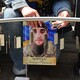 «Місце надії»: у центрі Львова розмістили 860 жетонів з іменами захисників і захисниць, які зникли безвісти чи перебувають у полоні
