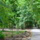 Нові доріжки та дитячий майданчик: у сквері «Кульпарківський» за інвесторські кошти оновлюють громадський простір