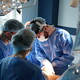 Lviv Transplant Summit 2026: у Львові відбудеться масштабний саміт з трансплантації