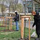 Ще можна долучитися: у Львівській громаді продовжили акцію «Подаруй місту дерево»